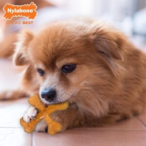Nylabone Flexi Chew X-Bone Senior Dog Chew Toy Turket & Sweet Potato Small/Regular (1 Count)