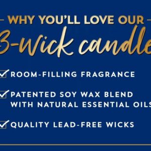 Bath & Body Works, White Barn 3-Wick Candle w/Essential Oils - 14.5 oz - 2022 Spring Scents! (Dark Amber & Oud)