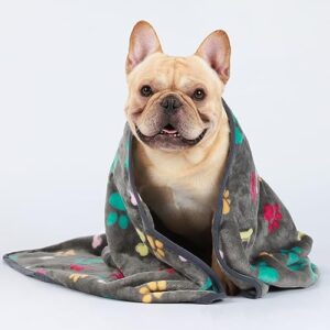 Luciphia 1 Pack 3 Blankets Fluffy Premium Fleece Pet Blanket Flannel Paw Bone Printed Throw for Dog Cat(Small 23x16'', Grey/Brown/Blue)