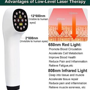 iKeener Handheld Red Light Therapy for Dogs,Portable LLLT Vet Device for Dogs and Pets, 650nm & 808nm Infrared Therapy for Pain Relief,Itching Skin & Wound Care in Dogs, Cats, Horses