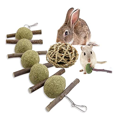 Xiaolanwelc Hamster Toys，Rabbit Toys，Rabbit chew Toys，Hamster chew Toys，Hamster Ball，Apple Sticks for Rabbits（9 Piece Set）