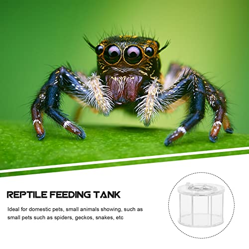 Balacoo Reptile Breeding Box Acrylic Reptile Terrarium Cage Tank Tarantula Scorpion Sling Isopods Lizards Roach Invertebrates Insect Mantis