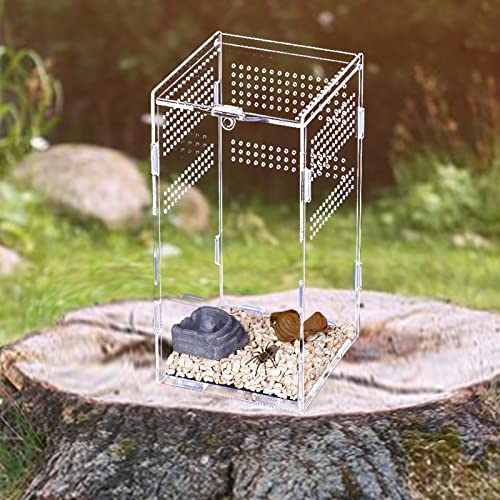 FORKPIE Habitat Terrarium Enclosure Reptile Terrarium Acrylic Tank Full View Jumping Spider Tarantula Enclosure, Insects Feeding Tank for Reptiles Mantis Lizard Habitat Snake Gecko(4.7x4.7x7.8inch)