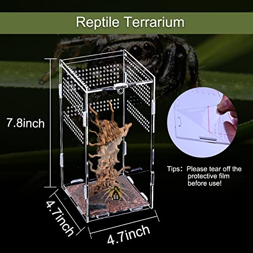 FORKPIE Habitat Terrarium Enclosure Reptile Terrarium Acrylic Tank Full View Jumping Spider Tarantula Enclosure, Insects Feeding Tank for Reptiles Mantis Lizard Habitat Snake Gecko(4.7x4.7x7.8inch)