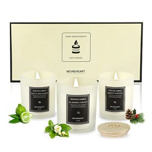 nevaeheart candles for home scented, 3.5oz x 3 packs scented candle set, misty forest | glimmer forest | ebony bergamot, candle gift set for women, natural soy wax, home fragrance with gift box