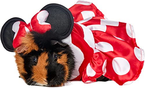 Rubie's Disney Minnie Mouse Small Pet Costume, As Shown, Extra-Small