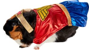 rubie's dc comics wonder woman small pet costume, as shown, extra-small