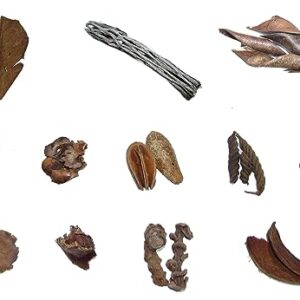 Box Lot of 30 Botanicals for Aquariums: Indian Almond Leaves, Cholla Wood, Birch Cones, Lotus Lafi Twistie Curve Pods, Pear Halves Pods, Coco Curls, Banana Sticks for Freshwater Blackwater Tannins