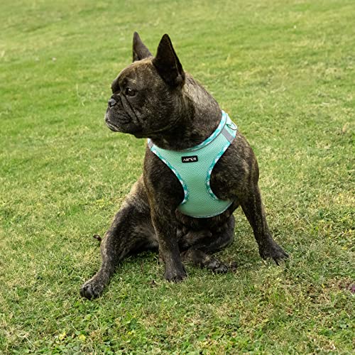 AMTOR Dog Harness with Leash Set,No Pull Adjustable Reflective Step-in Puppy Harness with Padded Vest for Extra-Small/Small Medium Large Dogs and Cats(Green,S)