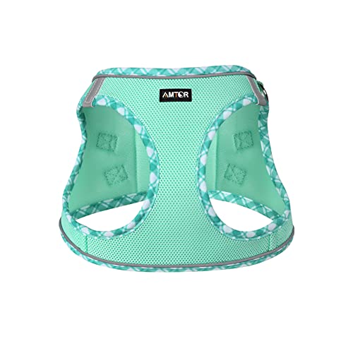 AMTOR Dog Harness with Leash Set,No Pull Adjustable Reflective Step-in Puppy Harness with Padded Vest for Extra-Small/Small Medium Large Dogs and Cats(Green,S)