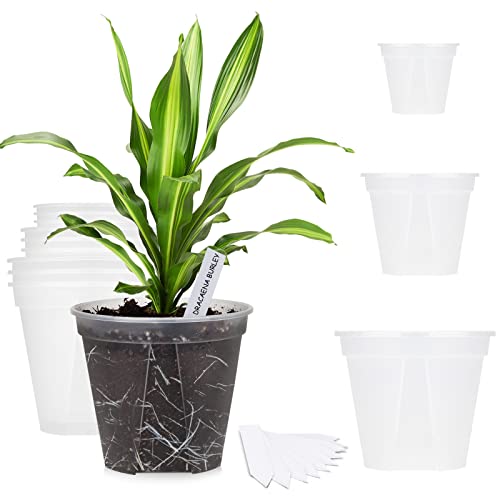 GREENPARA Transparent Plastic Planter 4/5 /6 inch Plant Nursery Pots with Drainage Hole Indoor Modern Decorative Containers for Plants, Herb, Flowers, and Cactus with 10pcs Plant Labels, 12pcs