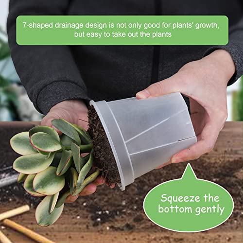 GREENPARA Transparent Plastic Planter 4/5 /6 inch Plant Nursery Pots with Drainage Hole Indoor Modern Decorative Containers for Plants, Herb, Flowers, and Cactus with 10pcs Plant Labels, 12pcs