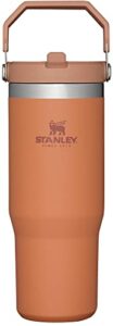 stanley iceflow stainless steel tumbler with straw - vacuum insulated water bottle for home, office or car - reusable cup with straw leakproof flip - cold for 12 hours or iced for 2 days (ochre)