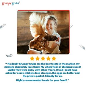 Grumpy Grubs Premium (5lbs) - Superior to Mealworms - Dried Black Solider Fly Larvae Treats for Hens Ducks Wild Birds, Calcium Rich and Healthy High Protein Chicken Treats