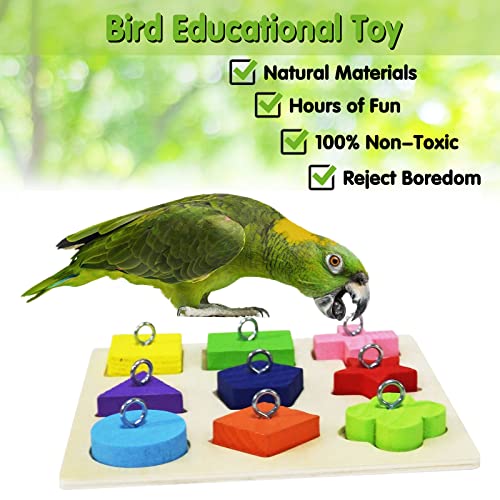 BWOGUE 12PCS Bird Training Toys Parrot Intelligence Toy Mini Sneaker Skateboard Parrot Wooden Block Puzzles Toy Bird Basketball Toy Stacking Rings for Budgie Parakeet Cockatiel Conure Lovebird