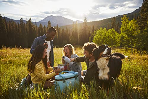 Hydro Flask Wine Tumbler & Bottle - Insulated Alcohol Travel Cup