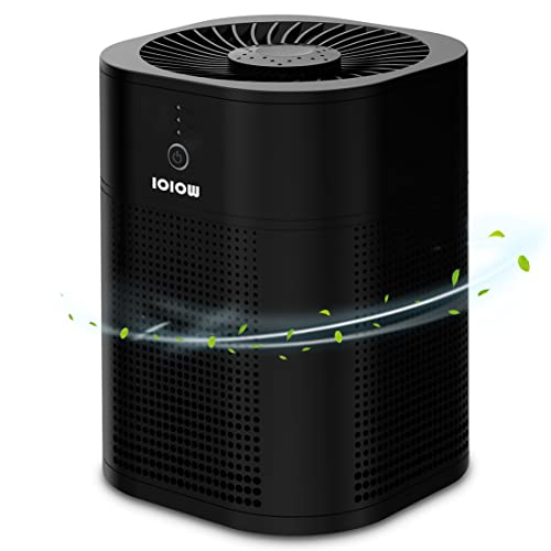 IOIOW Air Purifier for Bedroom, H13 True HEPA Filter Air Cleaner, 3-Stage Filtration with 360° Air Intake, Home Room Air Purifier with 3 Speed, Sleep Mode, 4h Timer (Black)