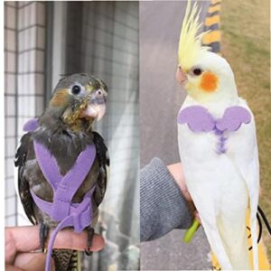Pet Bird Harness and Leash Rope Training Outdoor Flying Training Pet Rope Bird Strap Bird Rope for Budgerigar Mynah Parrot