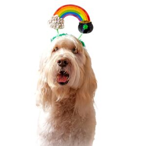 Midlee St. Patrick's Rainbow Pot of Gold Dog Headband