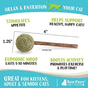 Raw Paws Catnip Lollipops, 6 ct - Cat Toys for Indoor Cats, Interactive Cat Toy, Catnip Toys, Silvervine Cat Toy, Silvervine for Cats, Cat Kicker Toy, Catnip Ball, Cat Ball Toy, Catnip Lolli-pops