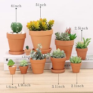 Yishang 2.5 inch Terracotta Pots with Drainage Holes,Small Mini Clay Ceramic Pottery Planter,Cactus Flower Terra Cotta Pots,Succulents Nursery Pots for Indoor/Outdoor Plants,Crafts,Wedding-12 Pack