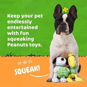 Peanuts for Pets Snoopy & Woodstock Feeling Lucky St Patrick’s Day Squeaky Pet Toy 2 Pieces Peanuts Dog Toys FF20325 Snoopy Leprechaun 9 Inch - 1 Pack