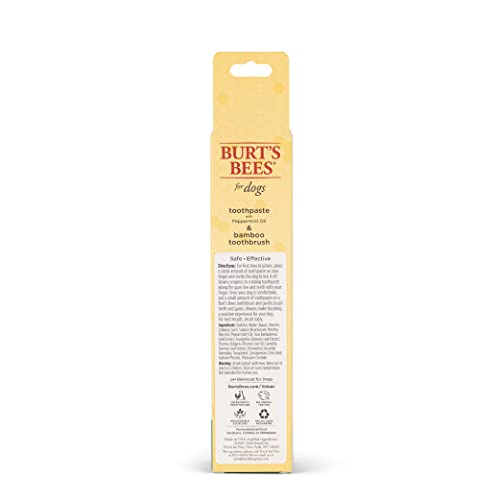 Burt's Bees for Pets Natural Oral Care Kit | Dog Dental Kit with Toothpaste & Bamboo Toothbrush | Dog Toothbrush and Toothpaste with Honeysuckle & Peppermint Oil, Fresh Mint Flavor (2.5 oz)
