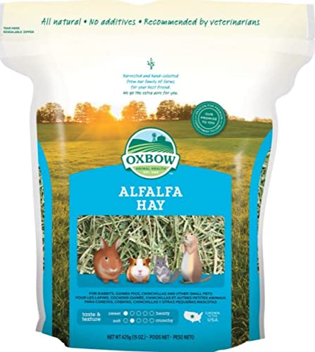 Oxbow Animal Health Alfalfa Hay Small Animal Food 15 Oz, Plus Simple Rewards Baked Treats with Apple & Banana and Carrot & Dill - 3 Oz Each, Plus My Buddy Notepad (4 Items Total)