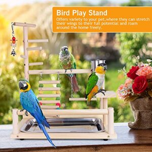 Parrots Playstand, Bird Playground, Bird Parrot Perch Stand, Parrot Climbing Ladder Swing Toy for Small Parakeets, Cockatiels, Finches, Budgie(14.57 * 10.24 * 17.32IN)