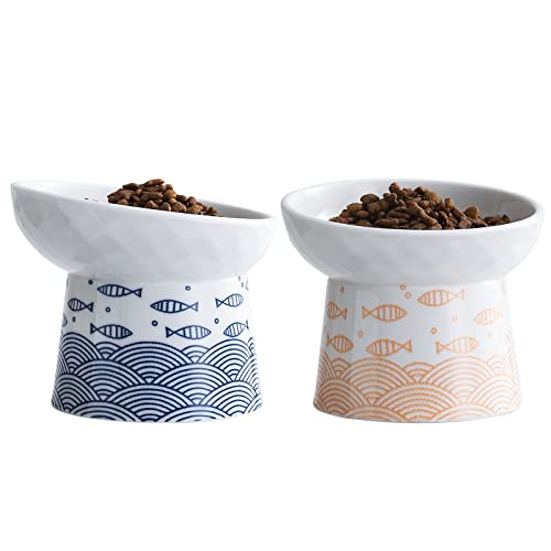 TAMAYKIM Tilted Ceramic Elevated Cat Bowls, Food and Water Raised Bowl Set for Kitty Cats and Small Dogs, Porcelain Elevated Stress Free Feeding Pet Bowl Dish, Set of 2