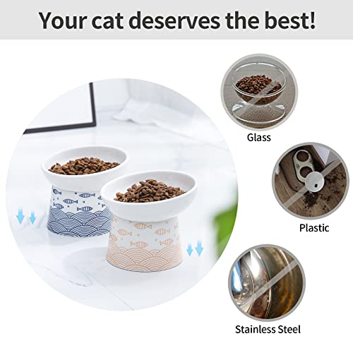 TAMAYKIM Tilted Ceramic Elevated Cat Bowls, Food and Water Raised Bowl Set for Kitty Cats and Small Dogs, Porcelain Elevated Stress Free Feeding Pet Bowl Dish, Set of 2