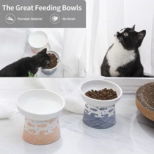 TAMAYKIM Tilted Ceramic Elevated Cat Bowls, Food and Water Raised Bowl Set for Kitty Cats and Small Dogs, Porcelain Elevated Stress Free Feeding Pet Bowl Dish, Set of 2