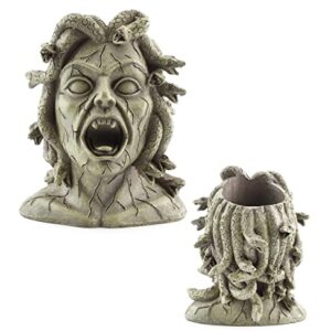 Darware Mini Resin Medusa Head Planter, Garden Decor Statue Flower Pot