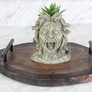 Darware Mini Resin Medusa Head Planter, Garden Decor Statue Flower Pot