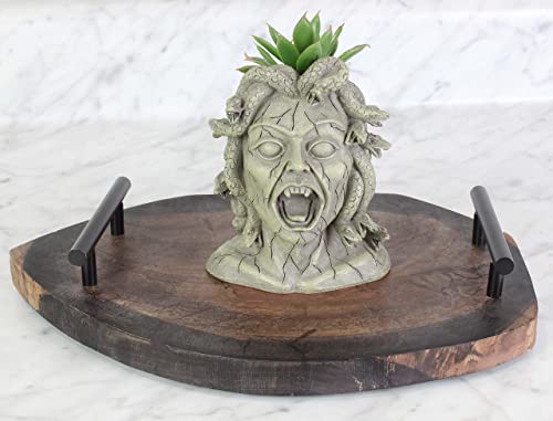 Darware Mini Resin Medusa Head Planter, Garden Decor Statue Flower Pot