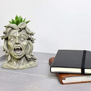 Darware Mini Resin Medusa Head Planter, Garden Decor Statue Flower Pot