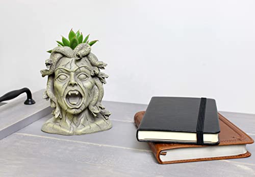 Darware Mini Resin Medusa Head Planter, Garden Decor Statue Flower Pot