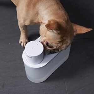 Cat Water Fountain Battery Operated: Automatic Pet Water Dispenser Wireless Powered Inside for Small Dog Pet - 67oz/2L Water Bowl - Ultra Quiet Smart Pump by Motion Sensor - 30-60days Battery Life