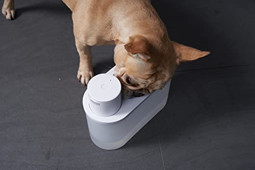 Cat Water Fountain Battery Operated: Automatic Pet Water Dispenser Wireless Powered Inside for Small Dog Pet - 67oz/2L Water Bowl - Ultra Quiet Smart Pump by Motion Sensor - 30-60days Battery Life