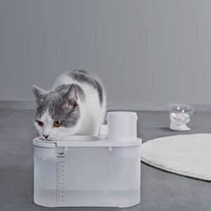 Cat Water Fountain Battery Operated: Automatic Pet Water Dispenser Wireless Powered Inside for Small Dog Pet - 67oz/2L Water Bowl - Ultra Quiet Smart Pump by Motion Sensor - 30-60days Battery Life