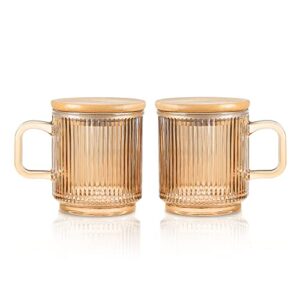 joeyan amber glass coffee mugs set of 2-11.5 oz striped coffee cups with lid - large drinking glasses with handle for latte, coffee, tea, milk, juice