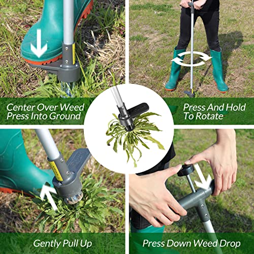 Walensee Upgraded Weed Puller, Stand Up Weeder Hand Tool, Long Handle Garden Weeding Tool with 5 Claws, Hound Weed Puller for Dandelion, Standup Weed Root Pulling Tool and Picker, Grabber (1 Pack)