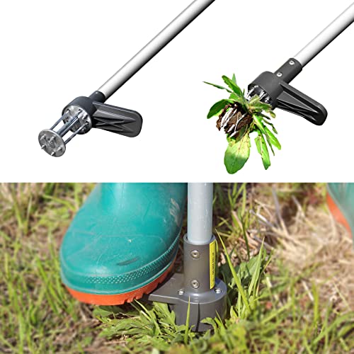Walensee Upgraded Weed Puller, Stand Up Weeder Hand Tool, Long Handle Garden Weeding Tool with 5 Claws, Hound Weed Puller for Dandelion, Standup Weed Root Pulling Tool and Picker, Grabber (1 Pack)