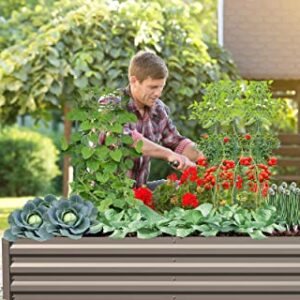 SONFILY Raised Garden Bed Metal Raised Garden Bed Outdoor Kit Garden Boxes Raised Galvanized Planter Raised Beds for Gardening Vegetables Fruit with 2pcs Tomato Cages,8x4x1ft,Brown