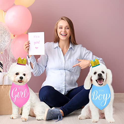 2 Pieces It's a Boy It's a Girl Dog Bandana Gender Reveal Baby Announcement Dog Bandana and 2 Pieces Pet Crown Dog Hat Photo Props for Dog Puppy Cat (Blue, Pink)