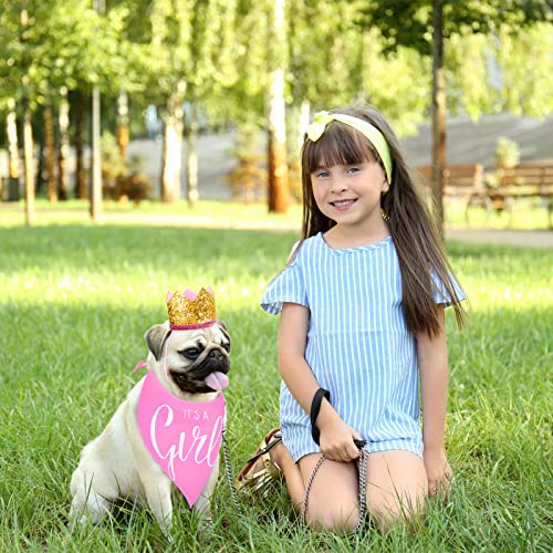 2 Pieces It's a Boy It's a Girl Dog Bandana Gender Reveal Baby Announcement Dog Bandana and 2 Pieces Pet Crown Dog Hat Photo Props for Dog Puppy Cat (Blue, Pink)