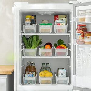 Poeland Fridge Bins, Storage Organizer Containers for Refrigerator, Pantry, Drawer and Kitchen Cabinets 3 Pack