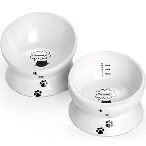 y yhy cat food bowls, elevated tilted for food and water, 2 raised cat bowls set with tick marks, for flat-faced cats and small dogs - 12/16 oz ceramic