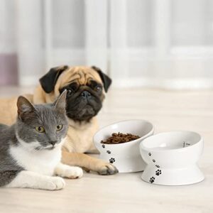 Y YHY Cat Food Bowls, Elevated Tilted for Food and Water, 2 Raised Cat Bowls Set with Tick Marks, for Flat-Faced Cats and Small Dogs - 12/16 OZ Ceramic