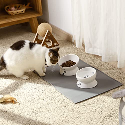 Y YHY Cat Food Bowls, Elevated Tilted for Food and Water, 2 Raised Cat Bowls Set with Tick Marks, for Flat-Faced Cats and Small Dogs - 12/16 OZ Ceramic